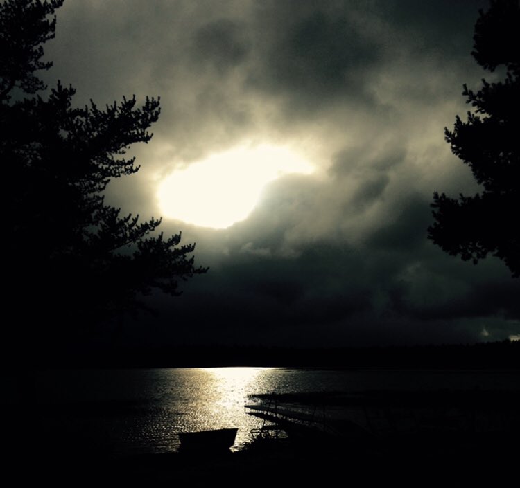 EddieCollins34's tweet photo. See you soon....#GodsCountry #Bodi #freetherapy https://t.co/Xocy7c5sAG