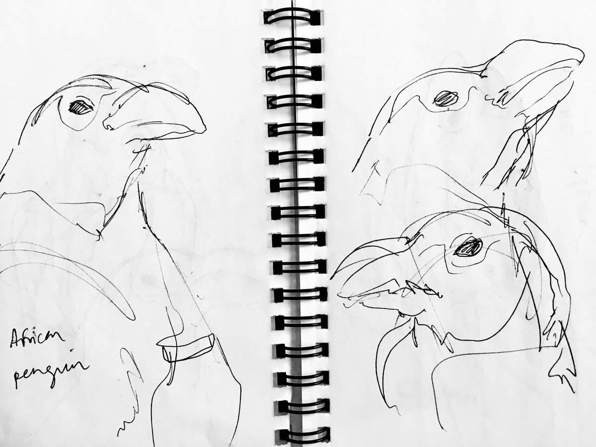 and some 30 second life sketches 