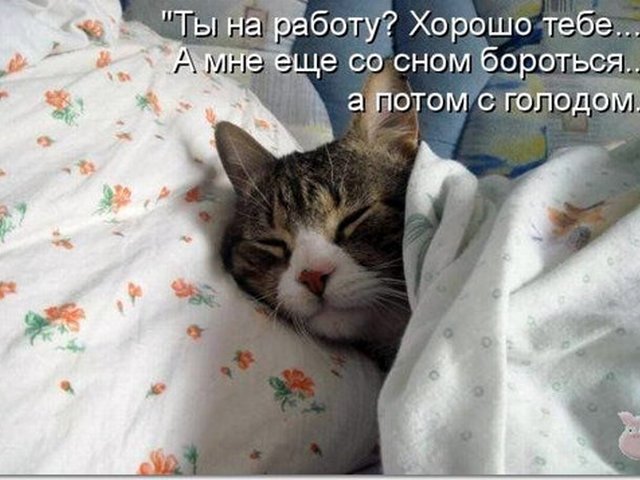 Открытка спишь еще, комплимент подружке