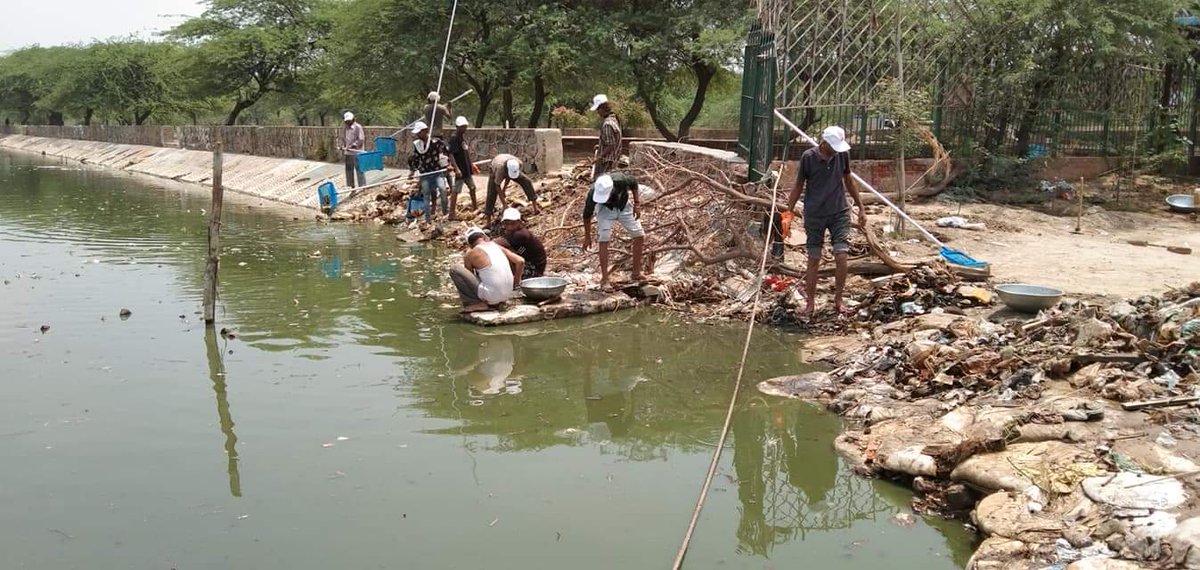 WaterConserveIn's tweet image. Cleaning  at Bhalsawa Lake, Delhi with support from IOCL under their #CSR initiative.  Joining hands with @ramveertanwarg n @Greenyatra for cleaning lakes in the city. @saytrees_ind
#ProjectJal #IOCL #JalShaktiAbhiyan