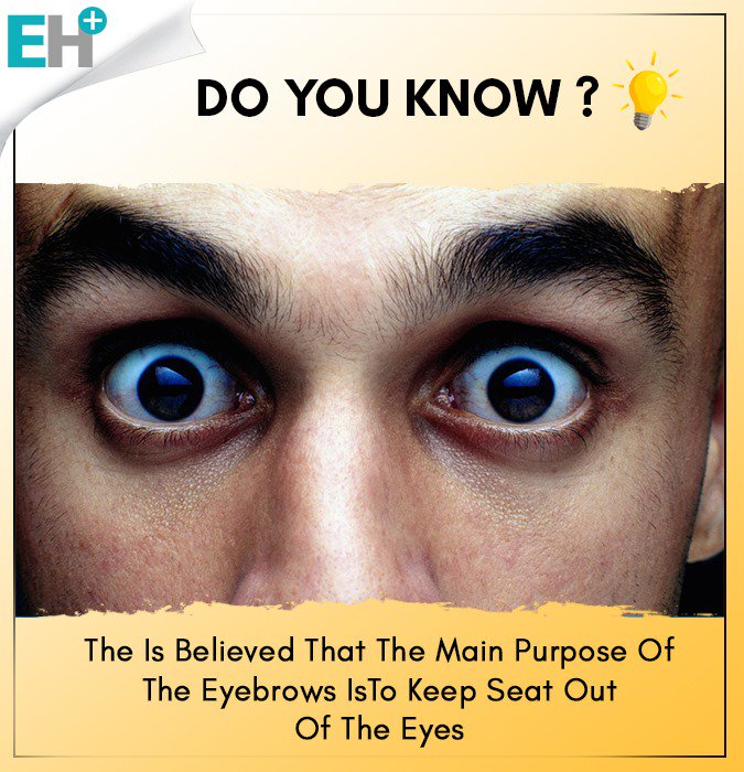 EverythingHeal1's tweet photo. #eyebrows #eyes #DoYouKnow #Facts https://t.co/UodehgvXFu