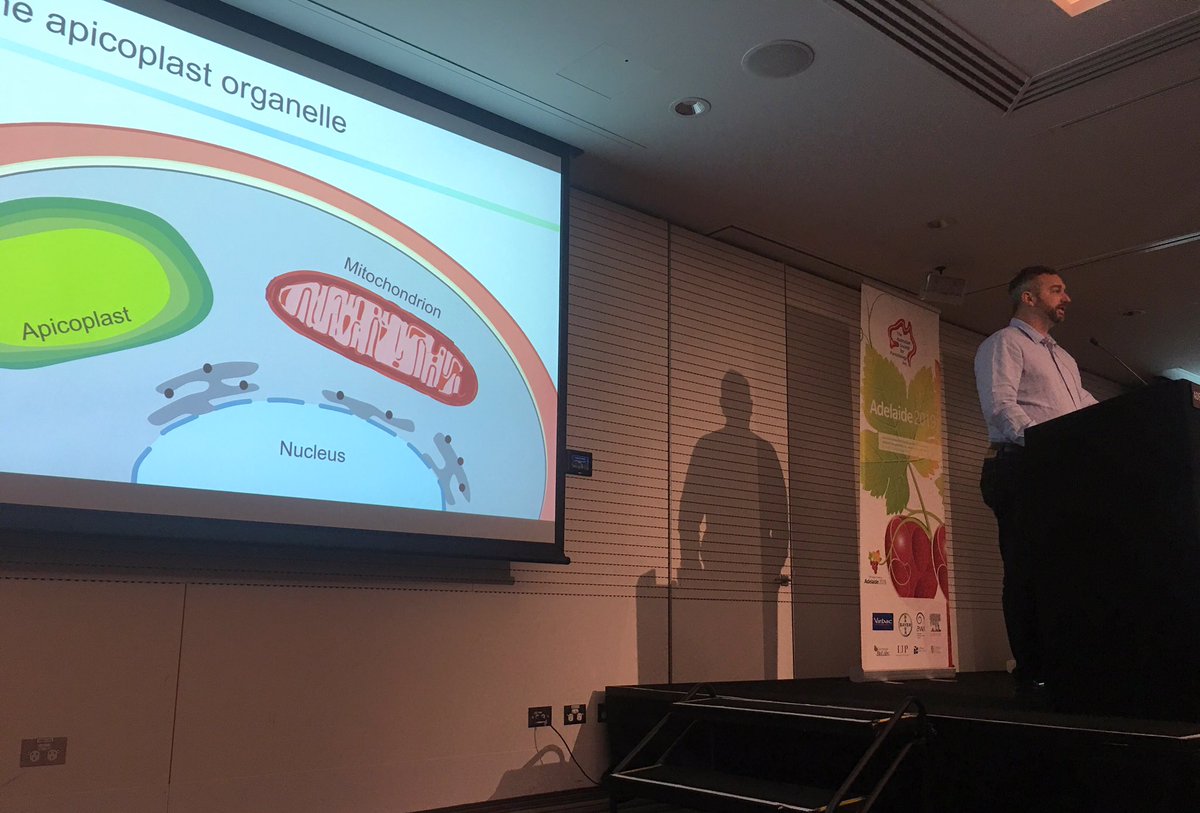 sonjzzz's tweet image. @sturalph in action at the #2019ASP C&amp;amp;MB session. Delayed death in the #malaria #parasite and prenylation dependent intracellular trafficking.