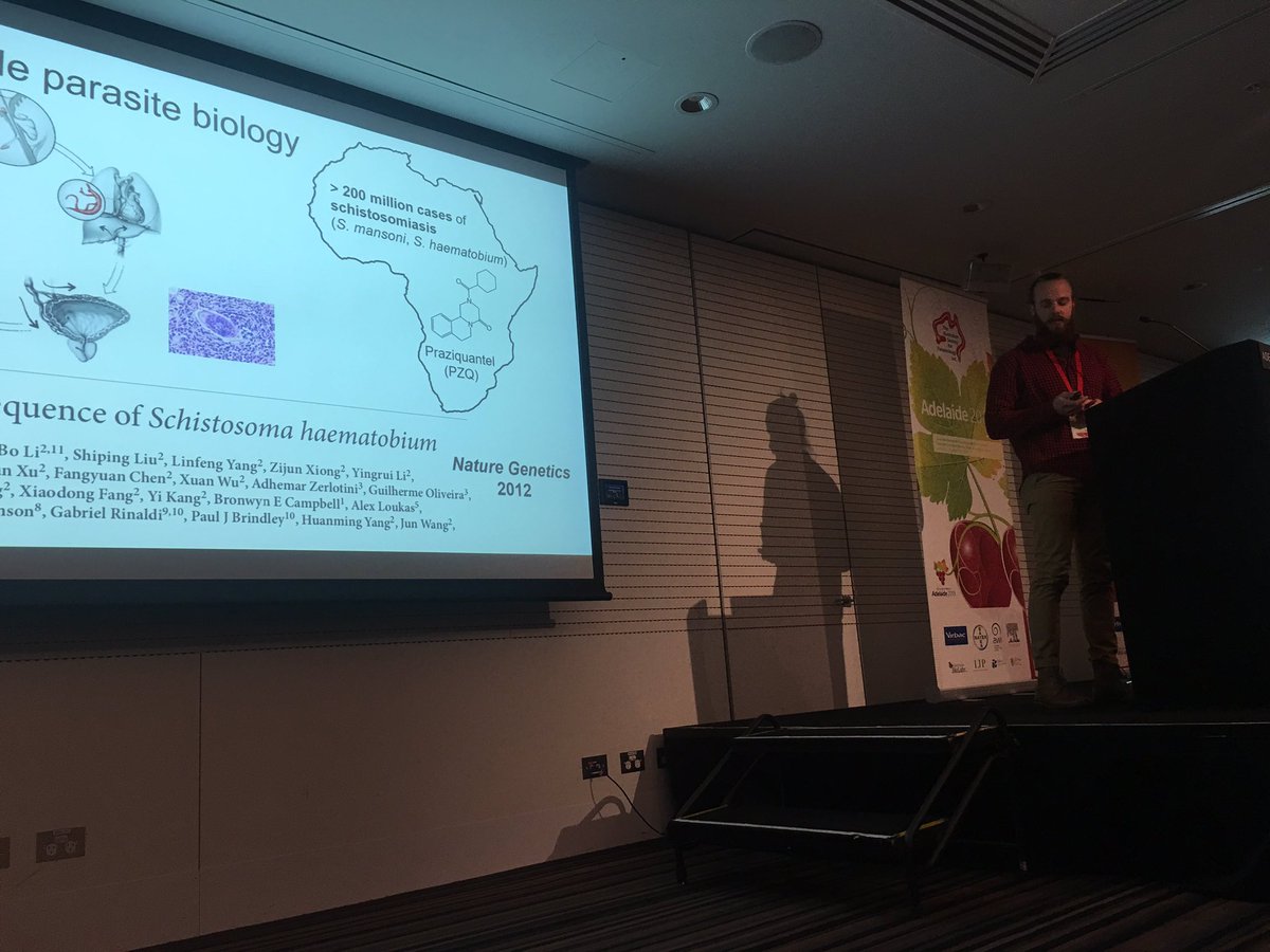 sonjzzz's tweet image. Fantastic short talk by Andreas Stroehlein from Gasser and Young labs showing off his work on #schistosoma single-molecule and long range #sequencing. 😍 #2019ASP CMB.