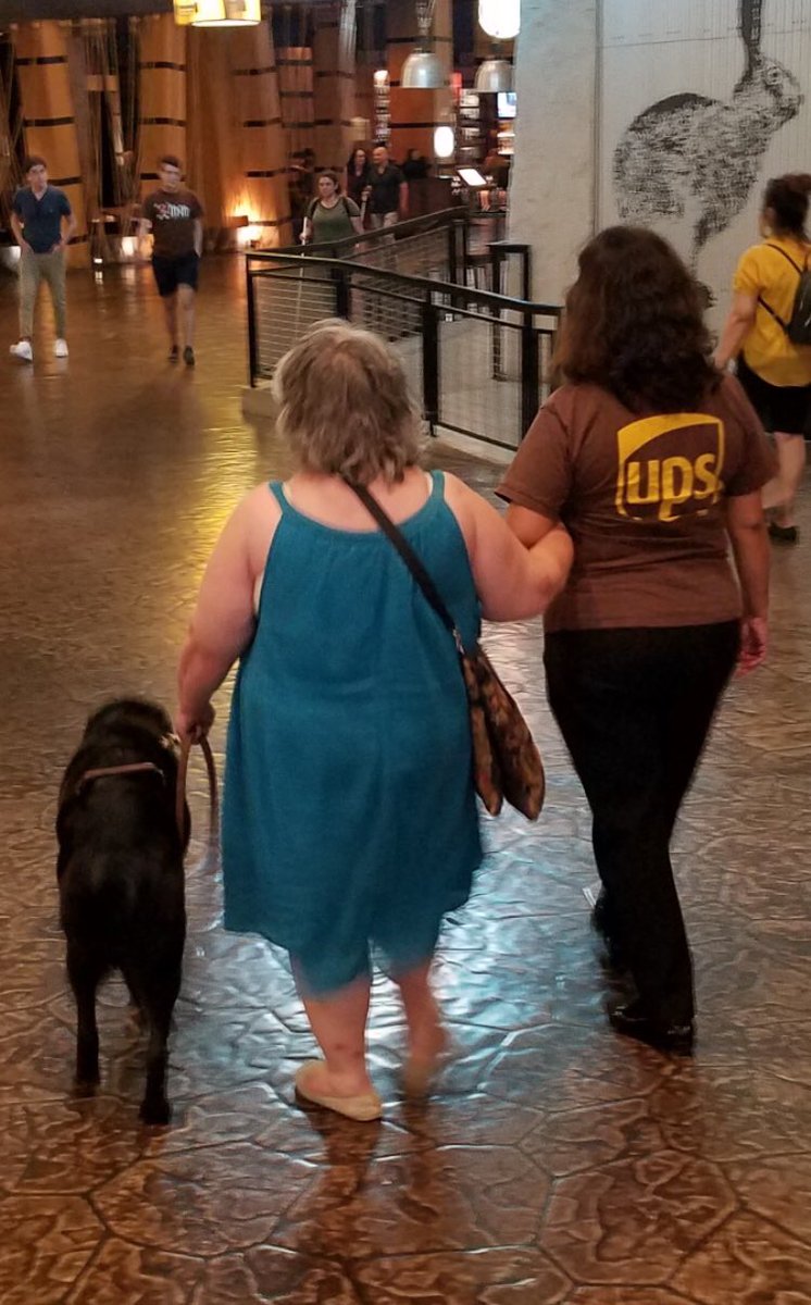 JD45587837's tweet photo. UPSers  giving a helping hand at the National Federation of the Blind convention – Las Vegas https://t.co/vvxQrQ3frJ