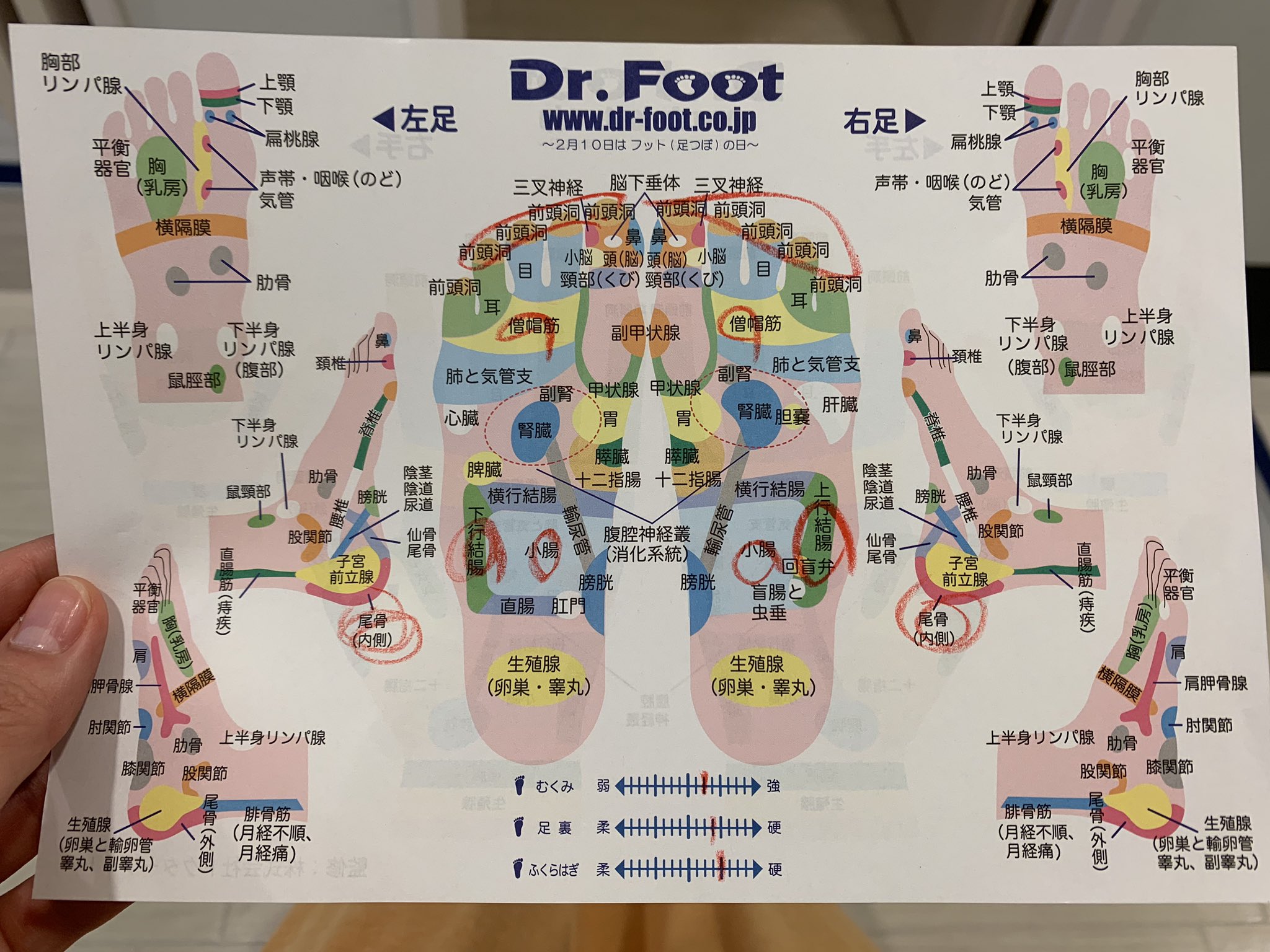 ぱつこ 5 グラドル最速ランナー 日本一痛いと言われる足つぼ屋さんなんだけど まじ痛いんだけど 痛いの嫌いじゃないしむしろ好きなんだけど だから通っちゃうんだ おすすめだよ 鼻と ぱつこ 5 グラドル最速ランナー 日本一痛いと言われる足つぼ屋さんなんだけど まじ痛いんだけど 痛いの嫌いじゃないしむしろ好きなんだけど だから通っちゃうんだ おすすめだよ 鼻と