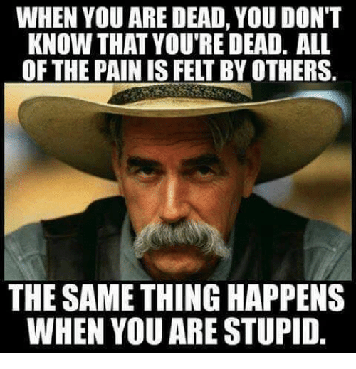 Image result for stupid meme"