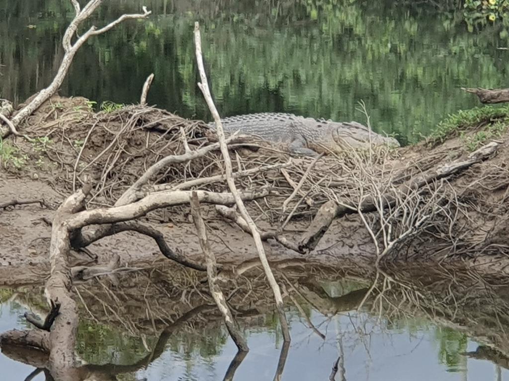 Josie Walkjer8 Twitter Images, Photos, Reviews