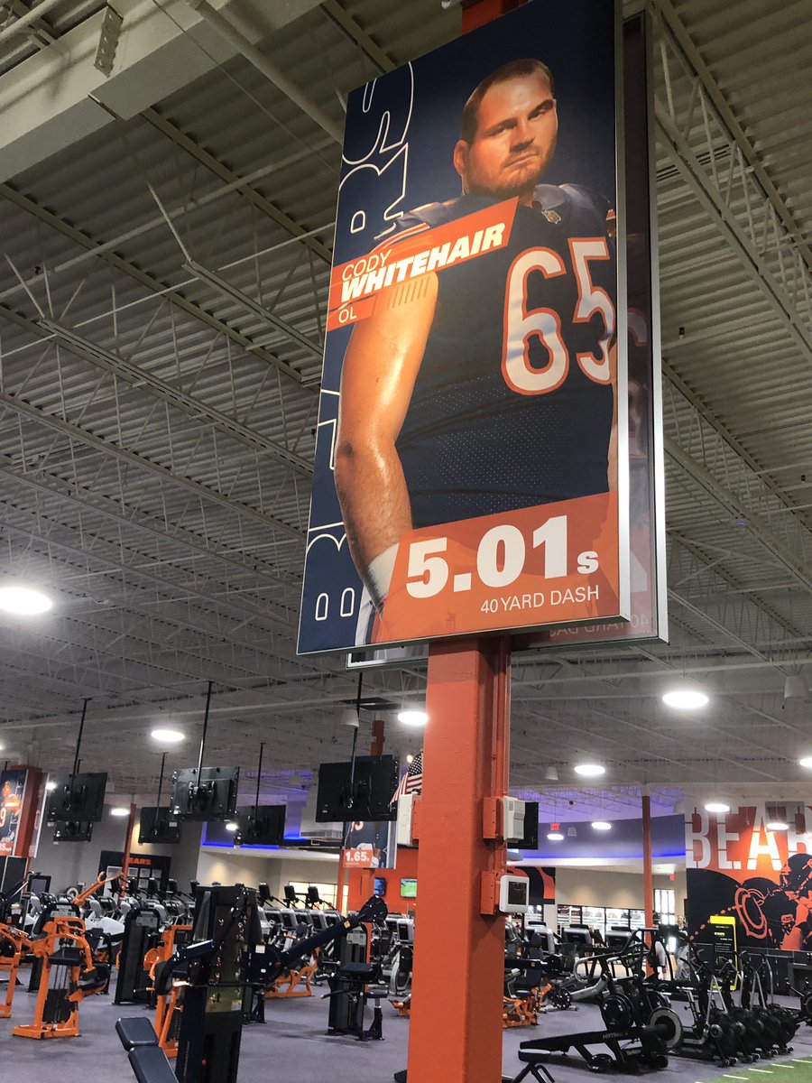 Bears Fit tweet media