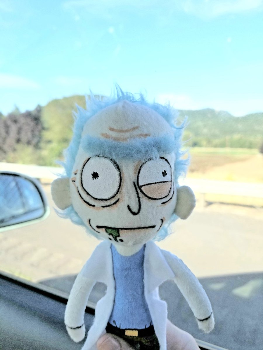 fluff_this's tweet photo. Roadtrip Rick!!!! #roadtrip #rickandmorty #ricksanchez #plushies #rickplush #artdoll #handmade #myrick https://t.co/1RxcBBgM95
