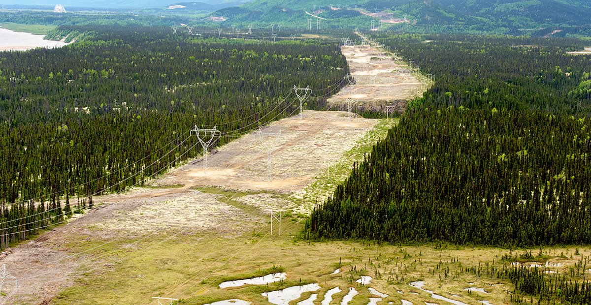 Everyday all summer you'll see this post: Premier Dwight Ball - has the spraying started on the Muskrat Falls power lines, and what was sprayed?
Berry pickers have the right to know this...