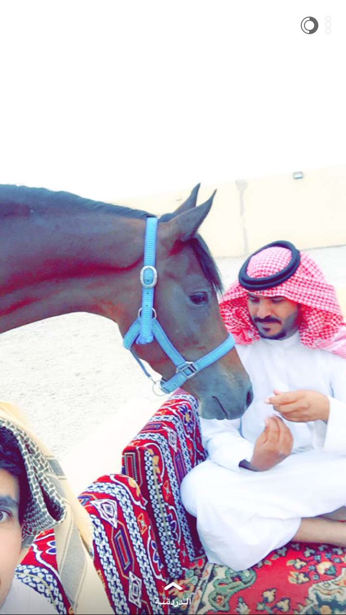 f_lh911's tweet photo. #مربط_علم_عبس https://t.co/Kh2eovaula