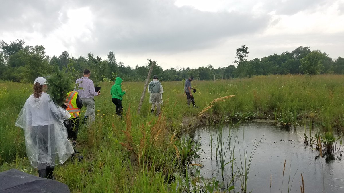 Heather Cray 🌱 tweet media