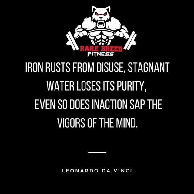 RareBreed_Fit's tweet photo. Keep moving that dirt... #rarebreedfitness #fitnessforlongevity #wolfpack #miamilakes #miamigardens #fitness #fitfam #health #weightloss #muscle #cleaneating #strength #gains #healthyliving #transformation #weightlossjourney #gymflow #fattofit #strongiss… https://t.co/OUPzlPALgq https://t.co/WGnYDsAUaA