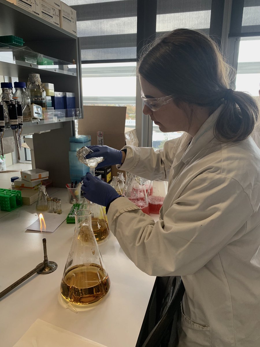 Exciting things are coming! We have been working hard to produce variants of the protein beta-lactoglobulin to reduce its allergenicity 🧬🧪👩🏽‍🔬