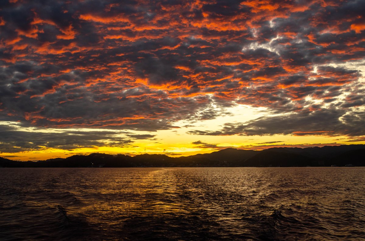 ScubaReps's tweet image. Waking up early on a dive day definitely has its perks.