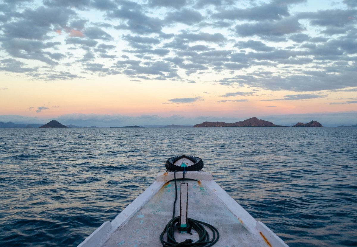 ScubaReps's tweet image. Waking up early on a dive day definitely has its perks.