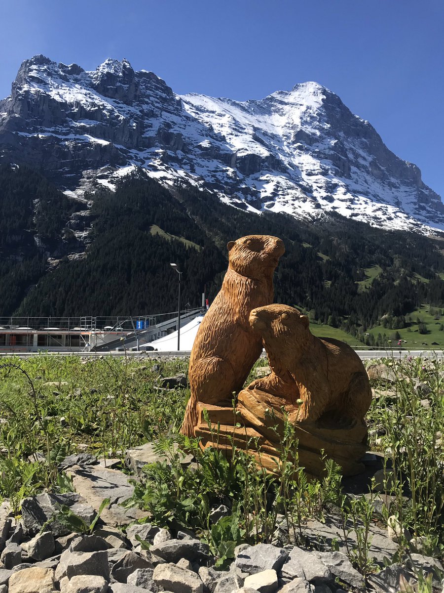 アルプスの少女ハイジ 公式 A Twitter ハイジの国スイスの写真 街のすぐそばに氷河の山 グリンデルワルドの街は 目の前にアイガー シュレックホルン ヴェッターホルンという3000 4000m級の山がそびえ立っています 街の真ん中には かわいいの アルプス アルプスの少女ハイジ 公式 A Twitter ハイジの国スイスの写真 街のすぐそばに氷河の山 グリンデルワルドの街は 目の前にアイガー シュレックホルン ヴェッターホルンという3000 4000m級の山がそびえ立っています 街の真ん中には かわいいの アルプス