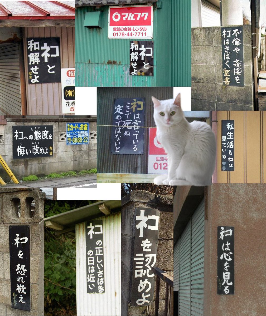 ネコと和解せよ 猫様のありがたいお言葉を伝える看板を集めた画像に信者が集う ﾈｺは心を見る Togetter