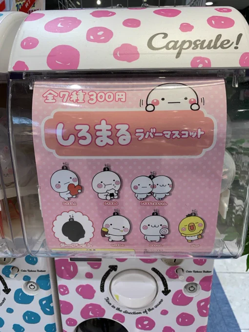 初回分完売しておりましたしろまるガチャが本日から再生産分、出荷しております?‍♂️
よく見るとパッケージの文字が少し新しくなっております。(中身は同じです)

お店でガチャガチャを見かけた時は探してもらえると嬉しいです? 