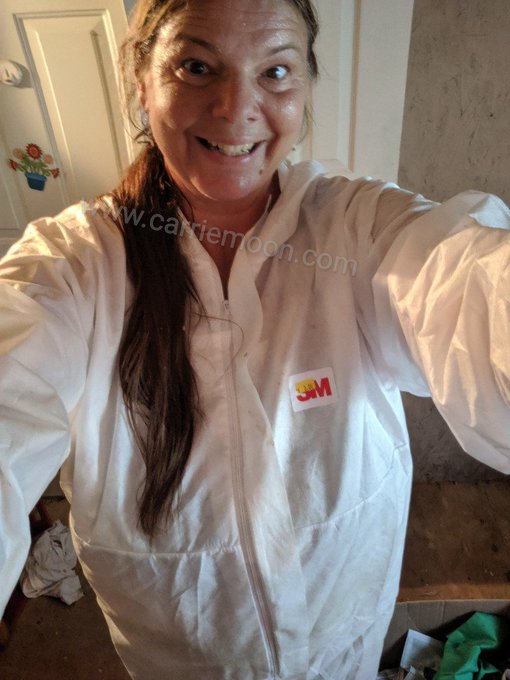 Home reno girl..sweaty mess https://t.co/TGoZPOdRAJ