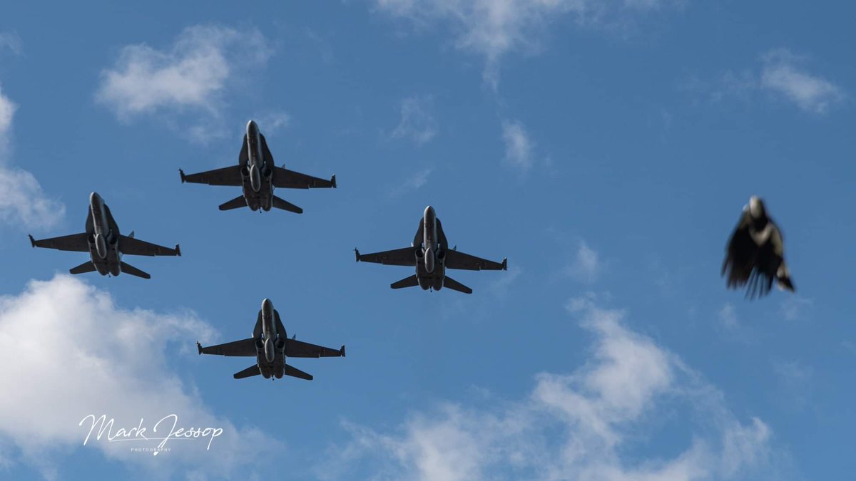 Mark__Jessop's tweet photo. Great to see 75SQN join the action for @RAAF_ACAUST hand over today.
@AusAirForce #AusAirForce #2OCU #75SQN https://t.co/oNf7eMqZmv