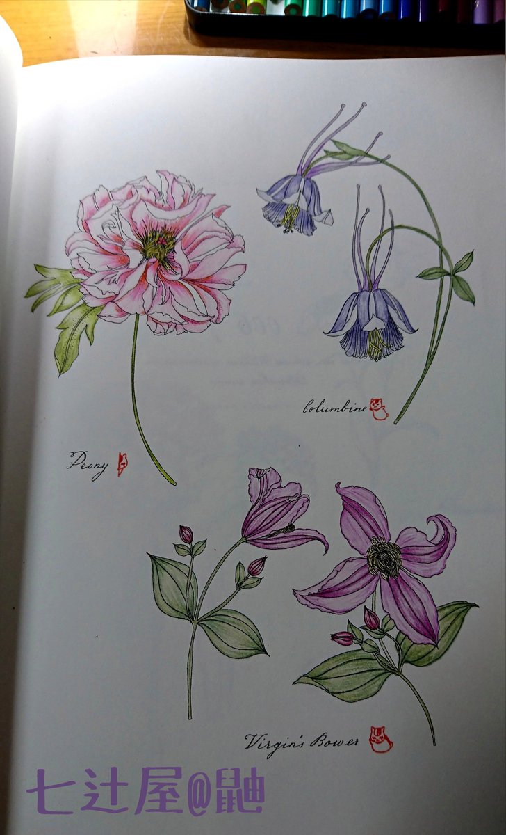 Twoucan レイラ の注目ツイート イラスト マンガ