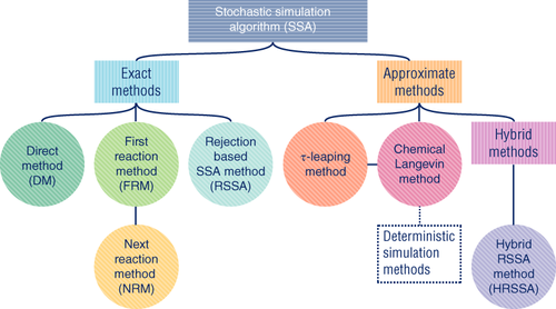 RosaQSP's tweet image. Stochastic simulation algorithms for computational systems biology: Exact, approximate, and hybrid methods. Published in Wiley Interdisciplinary Reviews: Systems Biology and Medicine (Jul 2019): buff.ly/2YFiE3r #mechanisticmodels #systemsbiology #stochasticsimulation