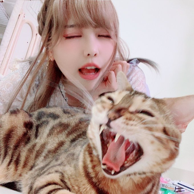 Twitterのコスプレ画像2