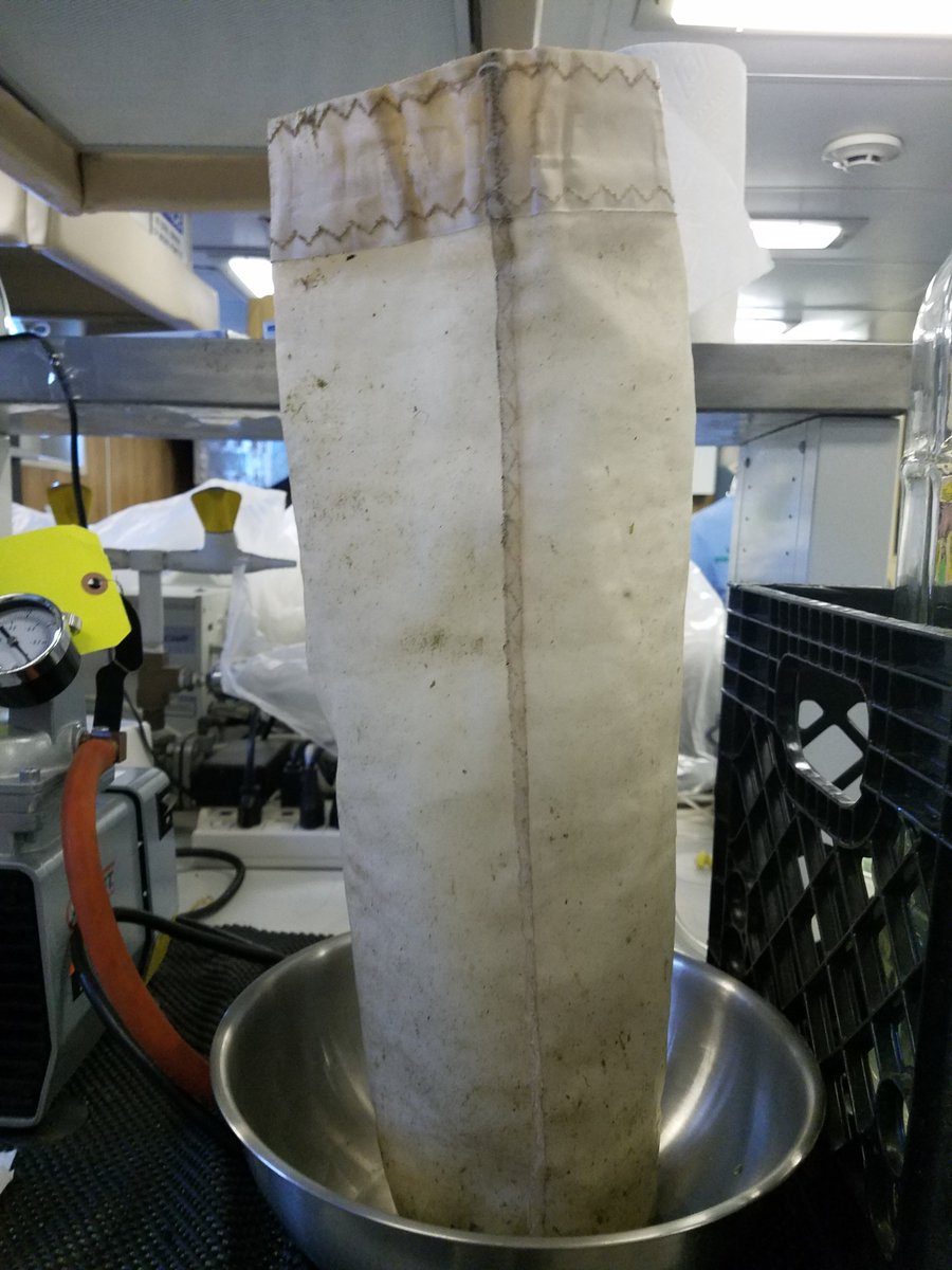 CGLLiteracy's tweet photo. It worked! Manta trawl pulled by #lakeguardian successfully filtering for #microplastics in #lakeerie during #shipboardscience workshop. Wonder what they will find! https://t.co/MIuu9NK00B