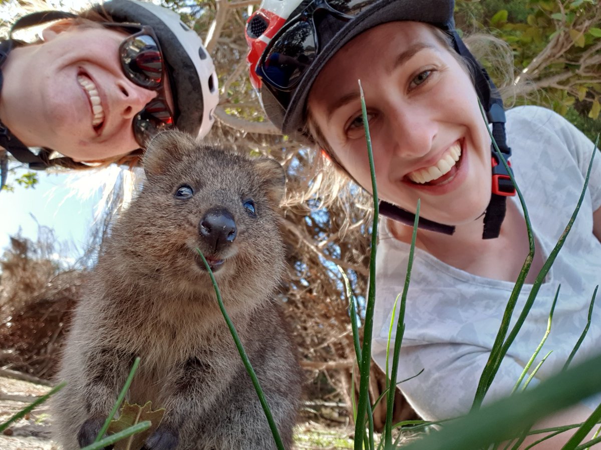 abbilscott's tweet photo. Heading home after @AMSAconf, what a great week it's been! I've heard about so much interesting research and met so many lovely people. And to top it off I won an award! Thanks #AMSA19 it's been a blast! Well done to all the award winners, look at the #WomenInSTEM representation! https://t.co/QYLbwo4u2s