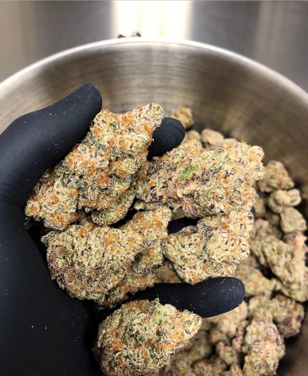 curry995's tweet photo. Can’t get enough 🤤🔥🍁#buds #ganja #ganjagirls #cannabis #blunt #dank #hemp #highlife #indica #sativa #growyourown #WakeNBake #kush #Weed #weedlife #marijuana https://t.co/ruRWjw02pH