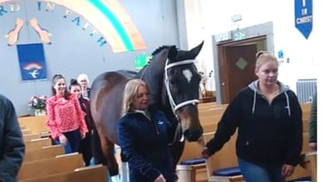 EqceteraGame's tweet photo. Giddy up the aisle as Aberdeen horse gets church blessing: https://t.co/cTLOrFVAjm
#BBCNews #Aberdeen #BelgianWarmblood #horse #horsesim #virtualhorse #horsegame #petgame #simulationgame #horselover #eqceteragame #BlessingoftheAnimals https://t.co/8Ig08Qihtu