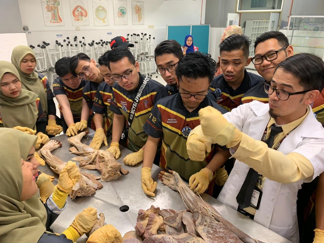 MSUmalaysia's tweet photo. Students from Institut Latihan Kementerian Kesihatan Malaysia Johor Bahru took a short course in Basic Anatomy &amp; Physiology here in #MSUmalaysia. We hope you enjoyed the quality learning experience. 

#ilkkmjb
#go2MSU
https://t.co/CIknXfgZVB https://t.co/snZfPg6Rxh