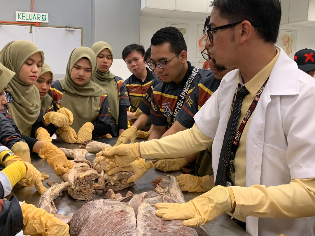 MSUmalaysia's tweet photo. Students from Institut Latihan Kementerian Kesihatan Malaysia Johor Bahru took a short course in Basic Anatomy &amp; Physiology here in #MSUmalaysia. We hope you enjoyed the quality learning experience. 

#ilkkmjb
#go2MSU
https://t.co/CIknXfgZVB https://t.co/snZfPg6Rxh