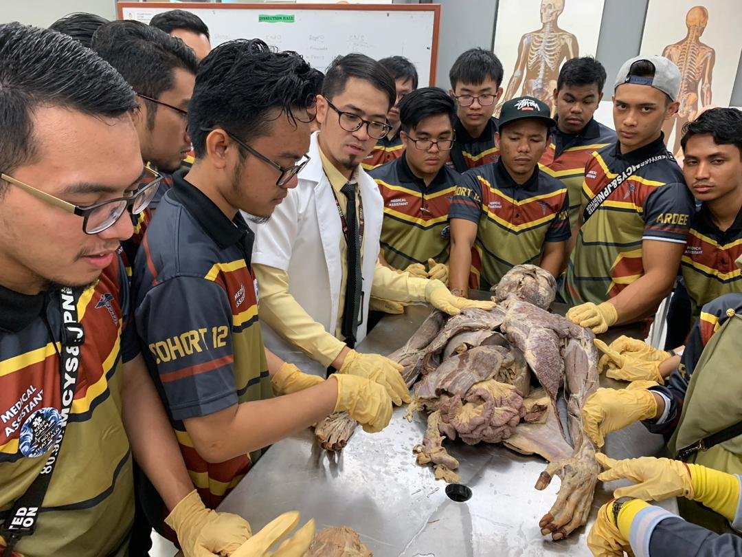 MSUmalaysia's tweet photo. Students from Institut Latihan Kementerian Kesihatan Malaysia Johor Bahru took a short course in Basic Anatomy &amp; Physiology here in #MSUmalaysia. We hope you enjoyed the quality learning experience. 

#ilkkmjb
#go2MSU
https://t.co/CIknXfgZVB https://t.co/snZfPg6Rxh