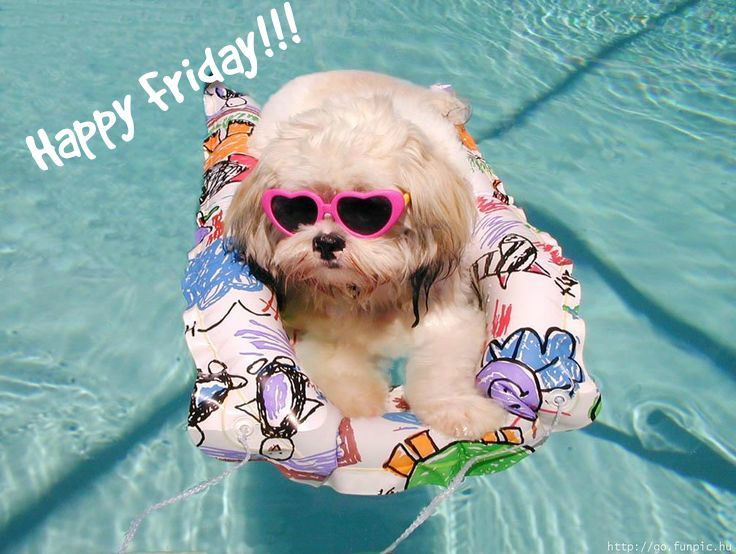 RRecreational's tweet photo. #TGIF We hope everyone has an amazing weekend! #poollife https://t.co/01jM3ZxpOb