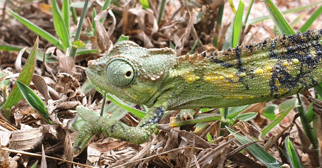 Spent some time with this one on the way up.