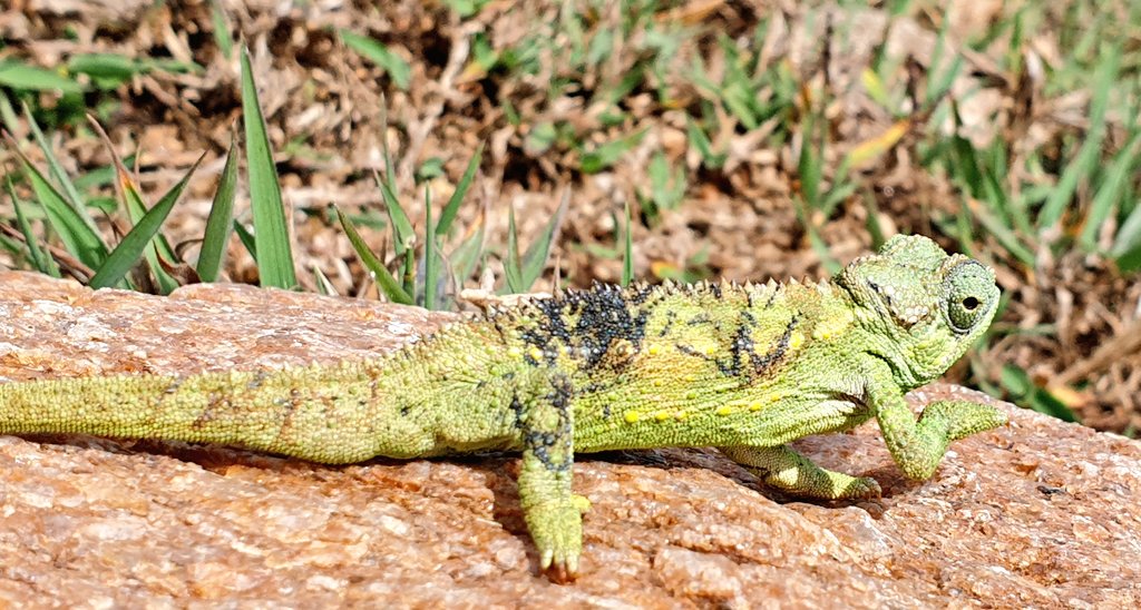 Spent some time with this one on the way up.