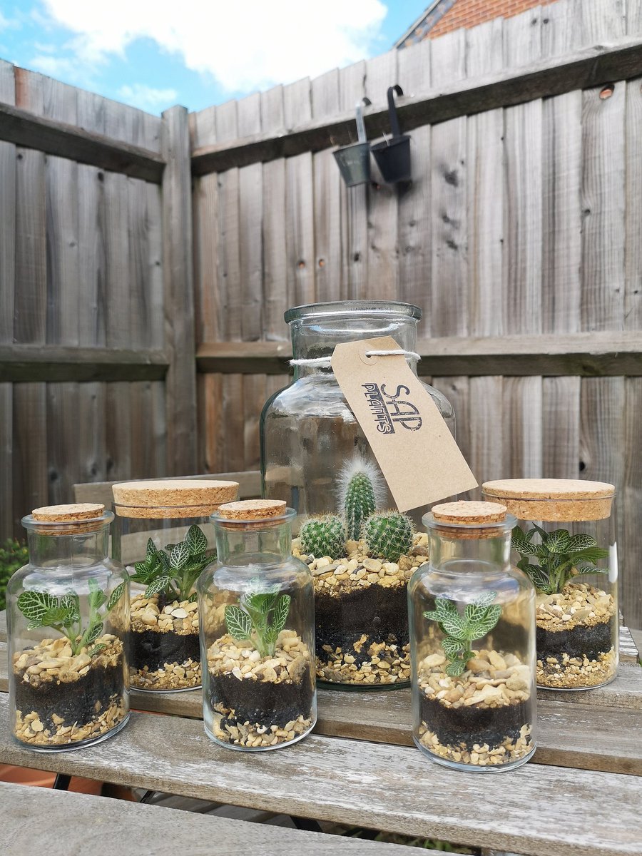 Lots of new terrariums available from <a href="/HandmadeNotts/">Handmade Nottingham</a> 🌵🌵