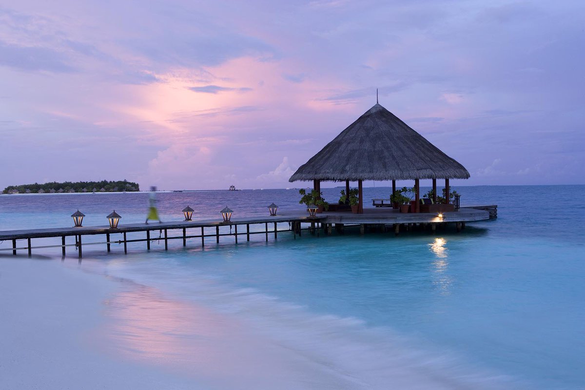 neoscapestweet's tweet photo. Explore the excellent house reef and discover the secrets of the underwater world. #AngsanaIhuru #AngsanaIhuruMaldives #MaldivesLuxuryResort #MaldivesHoliday #MaldivesSpa #MaldivesHoneymoon #NeoscapesMaldives https://t.co/3DYNaO1eFz https://t.co/DzOriF1MFq