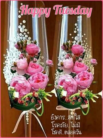 นายสินอุ่นใจดี,0943580560 (@oti7ohlj3v6s0le) on Twitter photo 