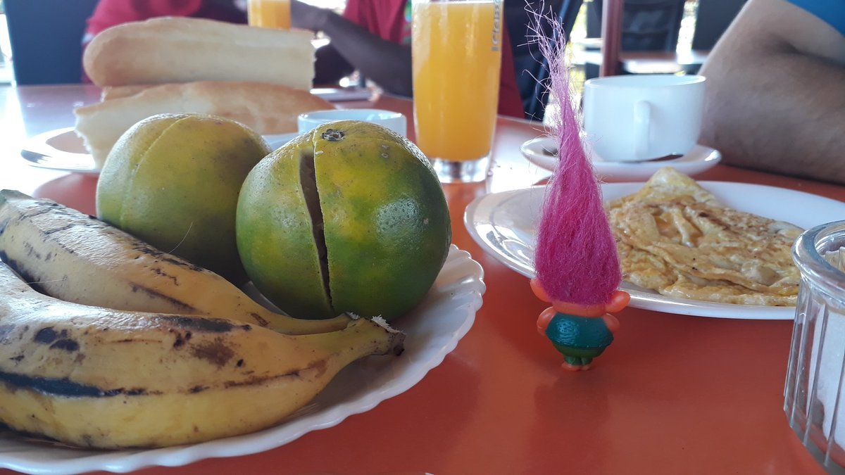 doc_webber's tweet photo. Up in Antsohihy before trip to field site later. The troll is travelling with us courtesy of my daughter #fieldworkessentials https://t.co/pMUr6z75YQ