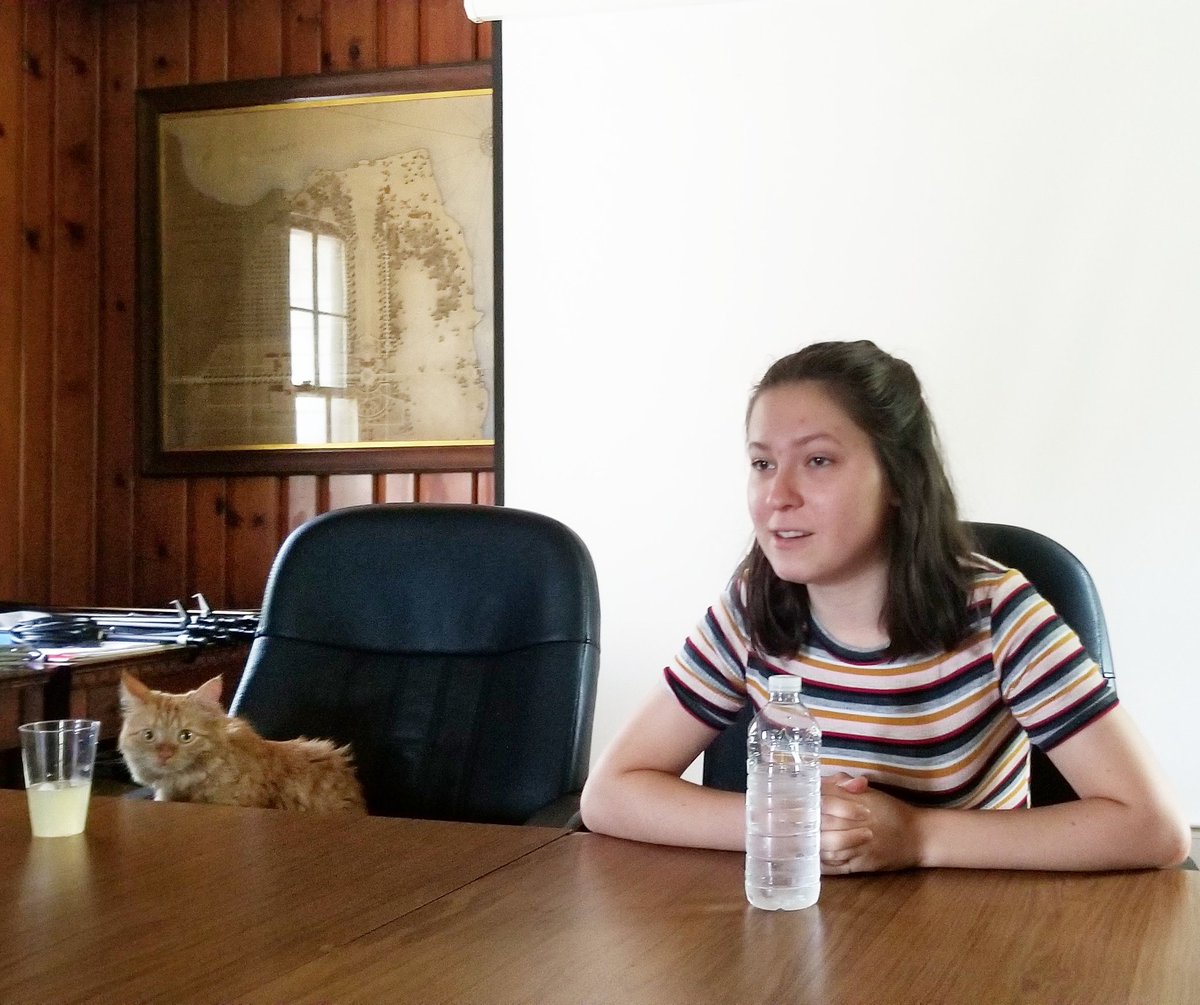 snapsthecat's tweet photo. Weekly board meetings with @PoslednikAnna take foreverrrr 😴 #businesscasual https://t.co/jI96RfzKPq