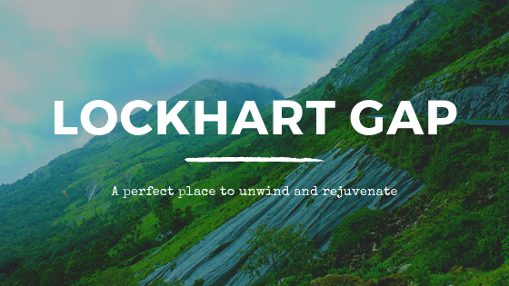 MountainTrailR's tweet photo. Lock Heart Gap is considered as a photographer’s paradise because of its peculiar location amidst the hill ranges of Western Ghats.
https://t.co/dZPycrej9p

https://t.co/RsjQgys0vi
Call: +91 9446570754
#lockhartgap #resortsatmunnar #bestresortsatmunnar #honeymoonresorts #munnar https://t.co/pcnR28Iv62