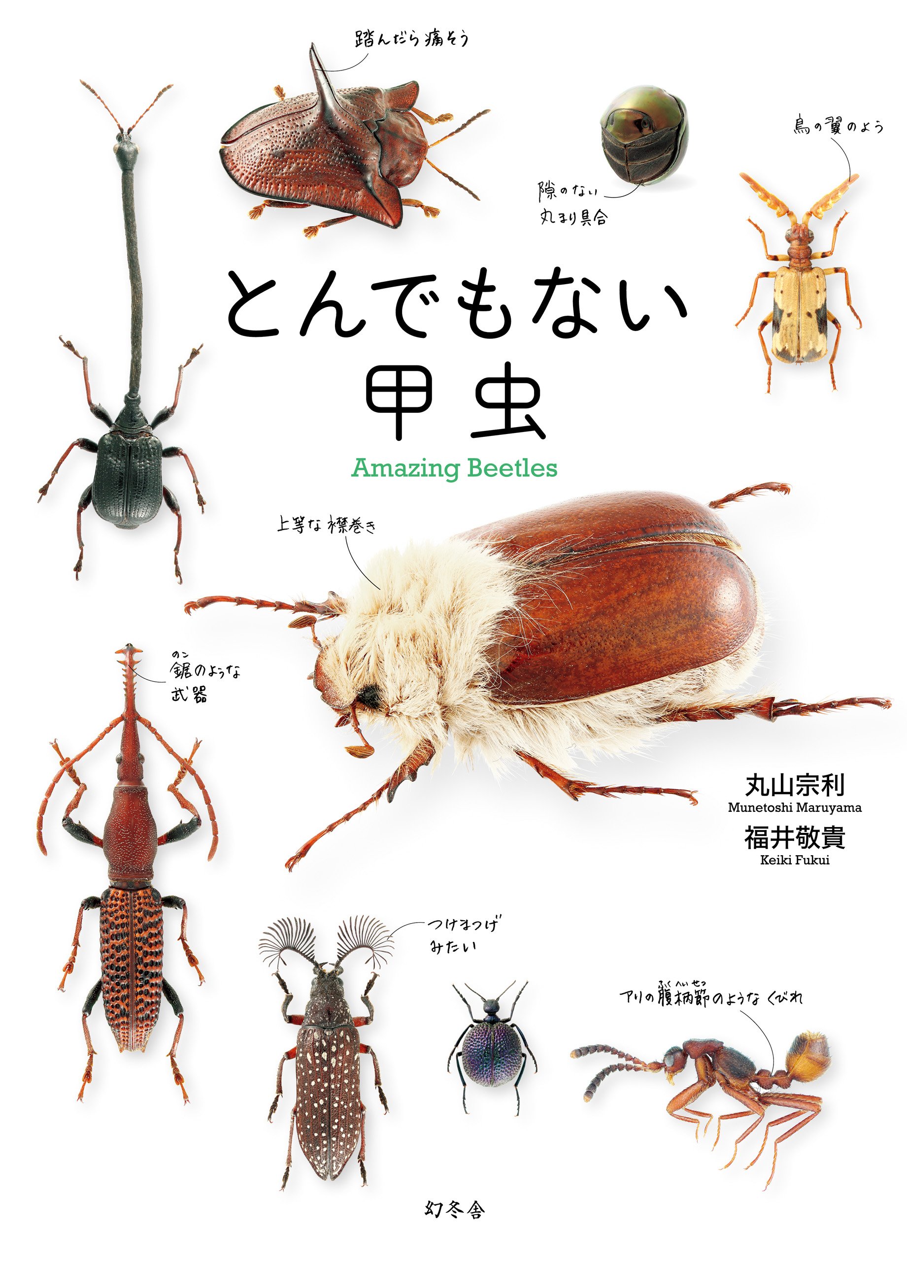 幻冬舎 電子書籍 新刊情報 ツノゼミ ありえない虫 きらめく甲虫 につづく 丸山宗利氏の昆虫ビジュアルブック第3弾 硬くてかっこいい姿が人気の 甲虫 の中でも 姿かたちや生態がへんてこな虫を厳選 丸山宗利 福井敬貴 とんでもない甲虫