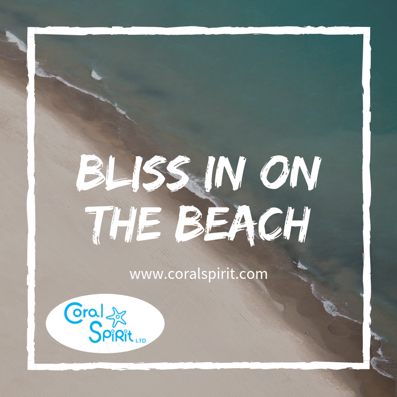 coralspiritkeny's tweet photo. There are loads of fun activities to choose from; #diving, #kitesurfing, #jetskiing, #snorkeling, #glass_boat riding in #diani #Coralspirit has a buffet of #watersport activities to ensure you have the most epic experiece in your #vacation2019.
#dianibeach
#Coast
#daytrip
#Kenya https://t.co/y3tAKi4hB3