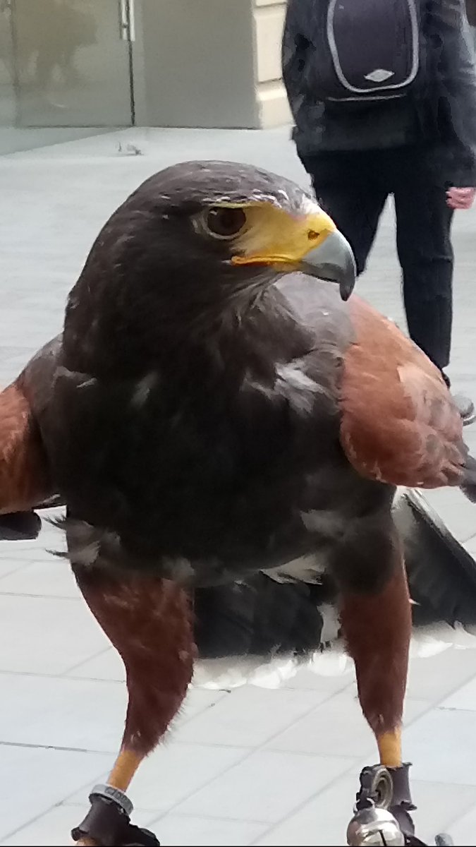 Gary  Hall tweet media