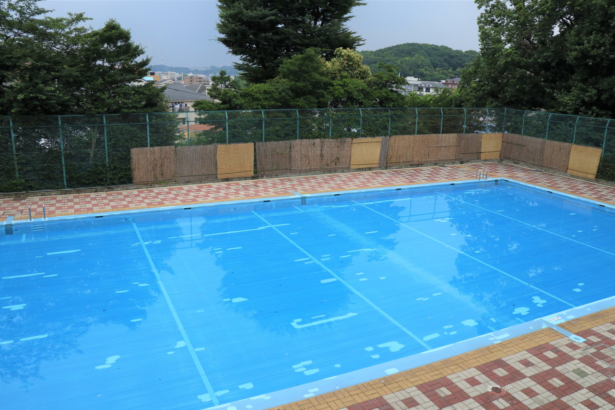 横浜市港北区役所 ミズキーの公園紹介 プール編 13日より区内の公園プール 綱島公園 菊名池公園 がオープン ミズキーは綱島公園プールを見学 プールは緑に囲まれ 森林浴を楽しめます また 公園内では昆虫採集もできます 港北区 ミズキー