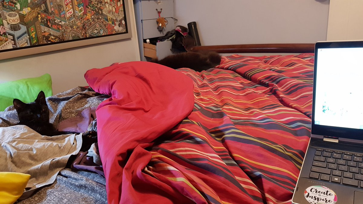 CodeTravelled's tweet image. Winter #coding. Warm blanky and a kitty in each corner 😊
#winterCoding #coder #rails #Ruby #rubyonrails #stayWarm