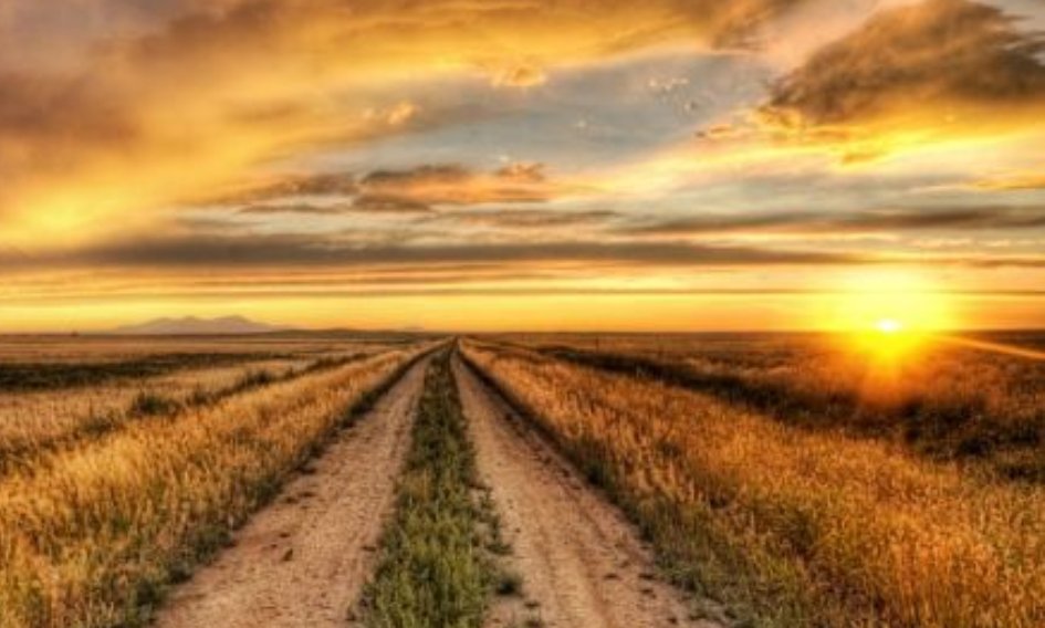 wanda_marty's tweet photo. #Buongiorno
#12luglio

"La mente è come una valigia che andrebbe svuotata di tutti quei pensieri inutili che la appesantiscono soltanto.” 

(Cit.)

#PensieroDipinto #ScrivoQuelCheSento #ScrivoArte #goodmorning #Friday https://t.co/k8mb2KiZtT